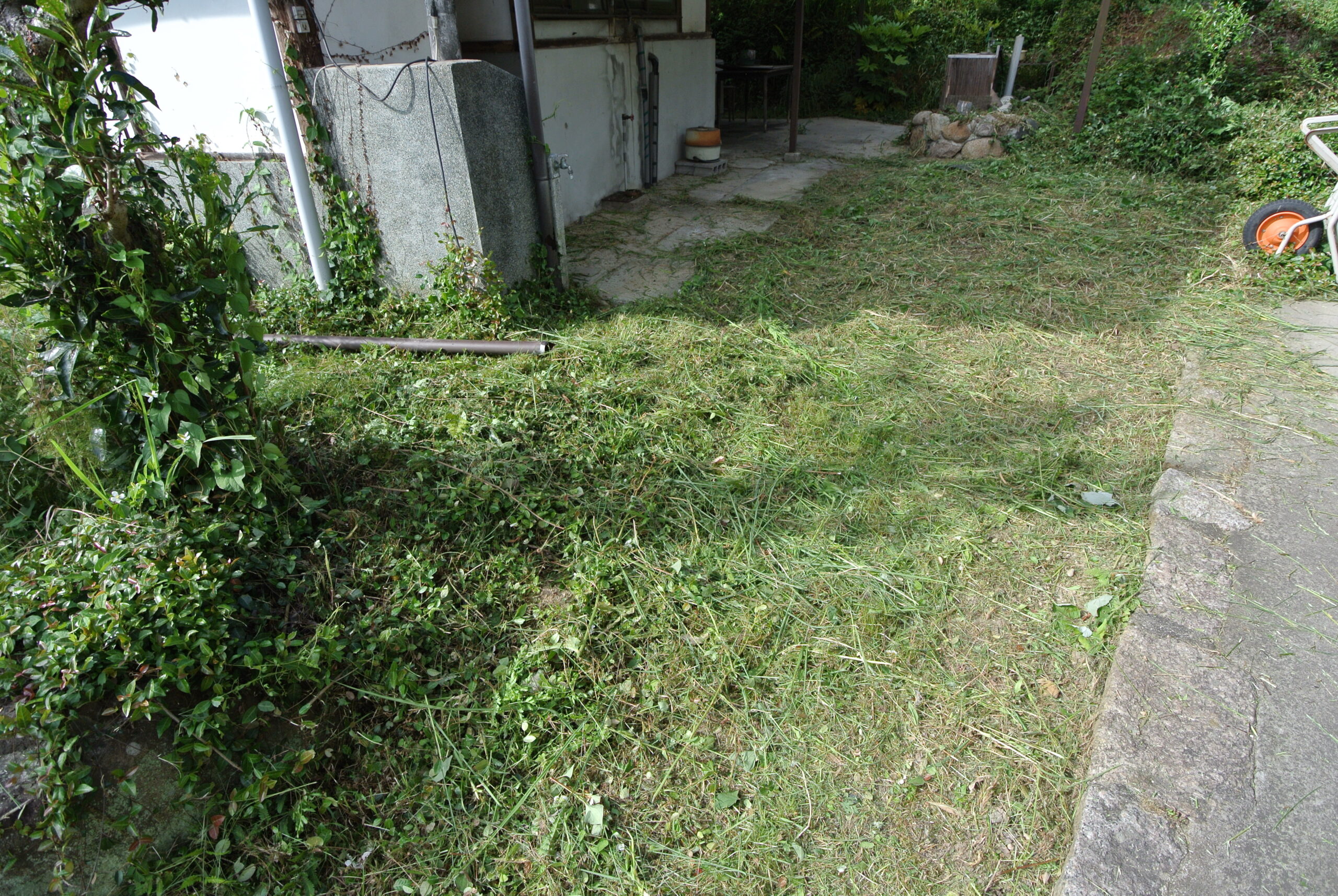 27.5.29済 (2)