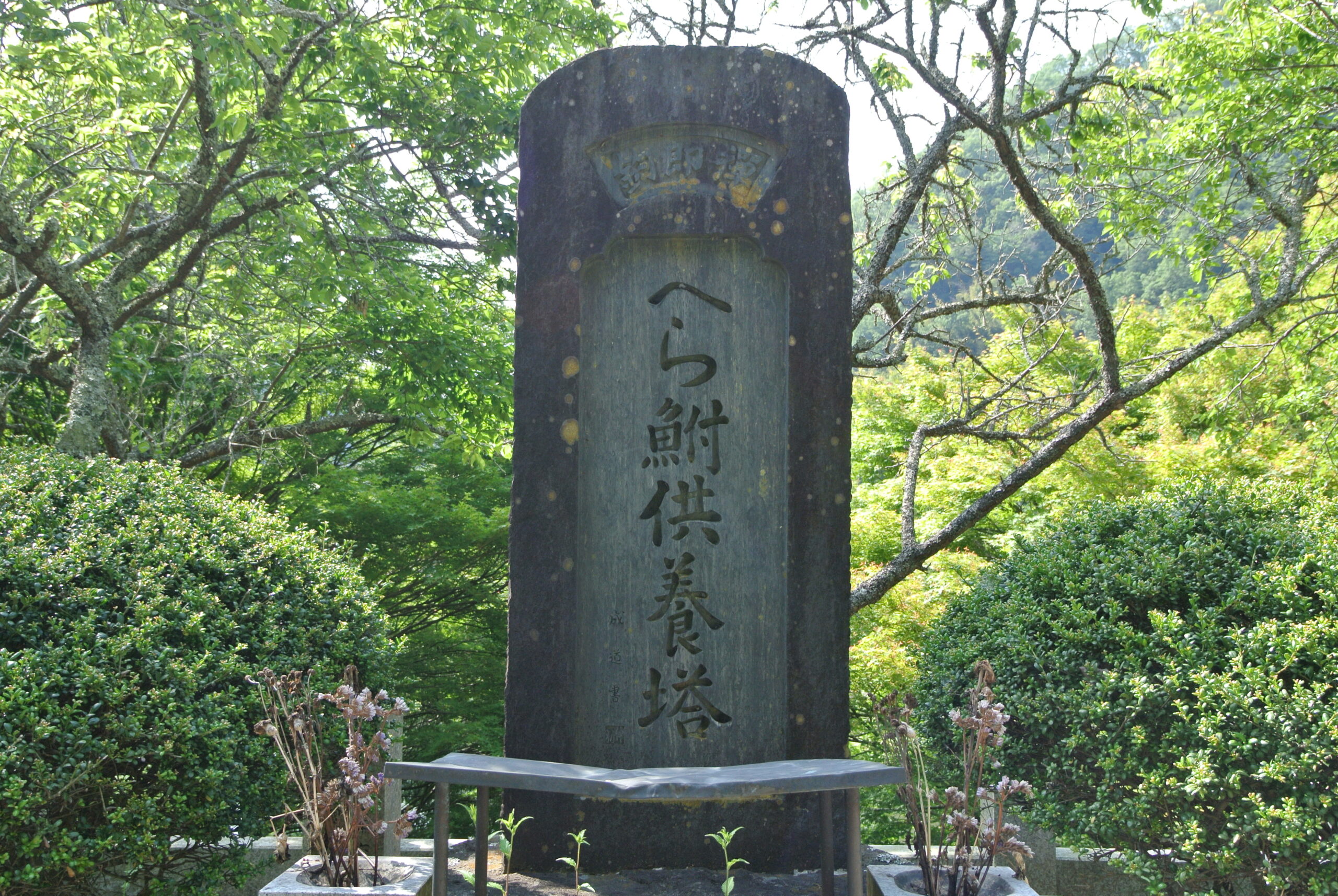 27.7.20済 (2)