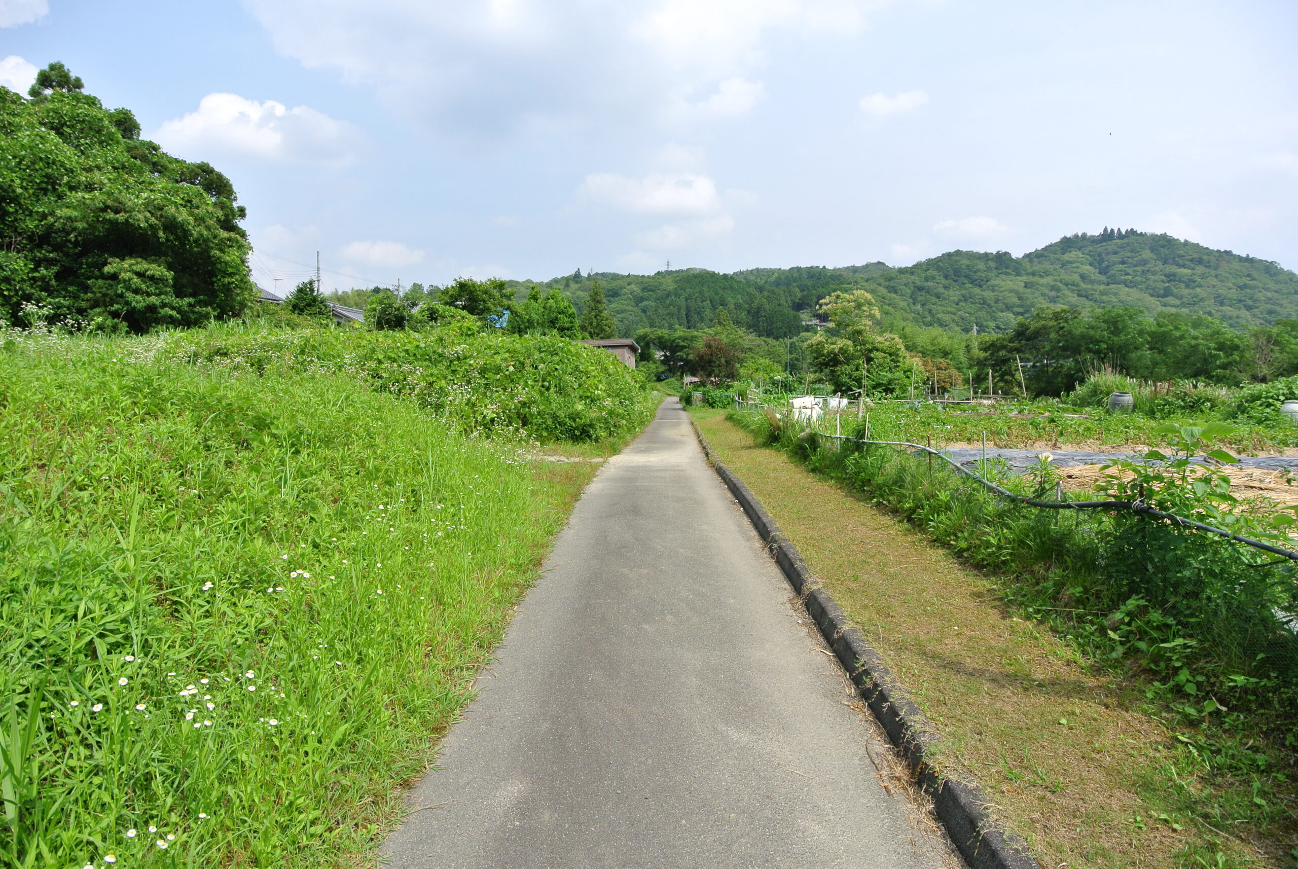 27.8.3済