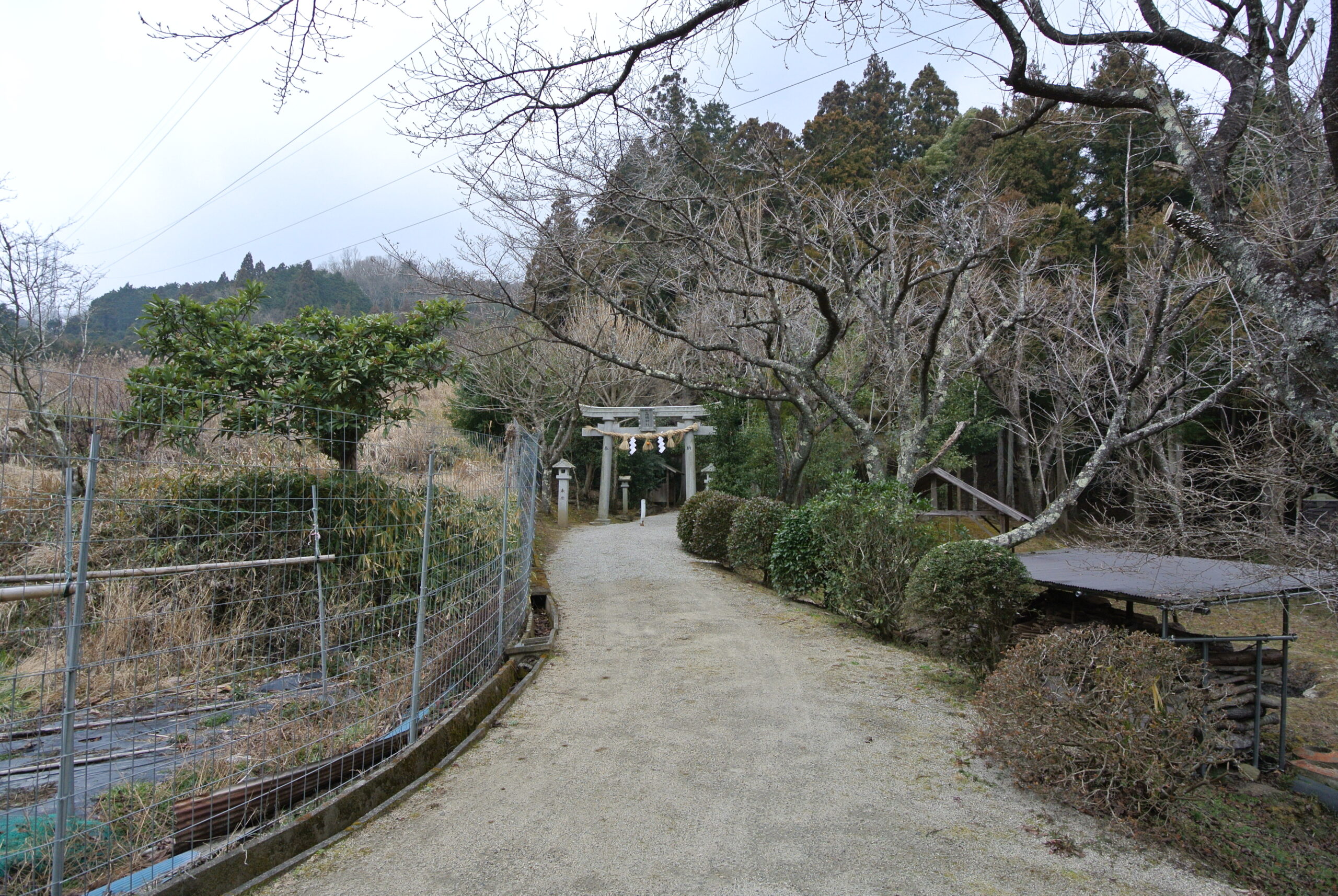 28.2.2 (2)