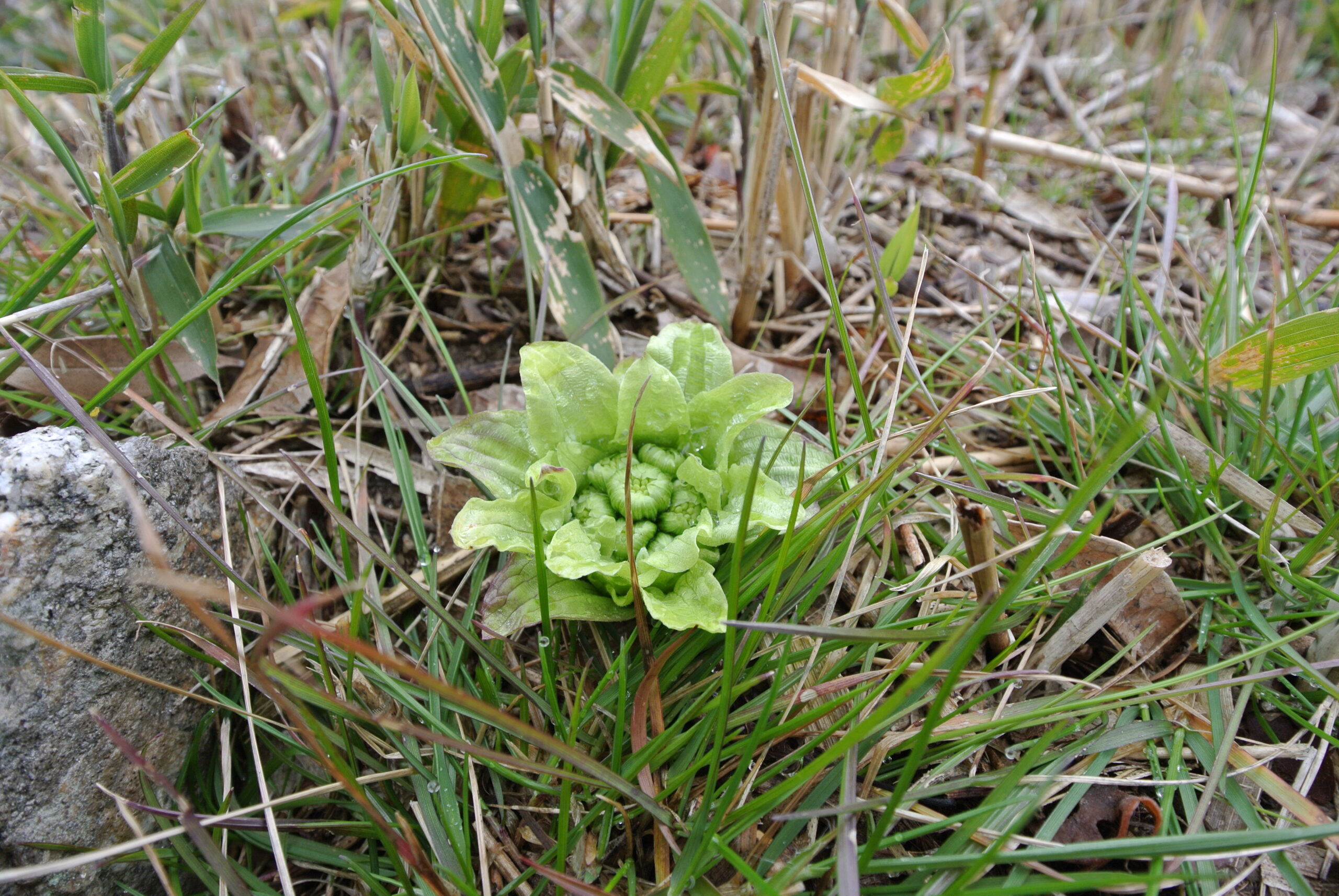 28.3.14 (2)