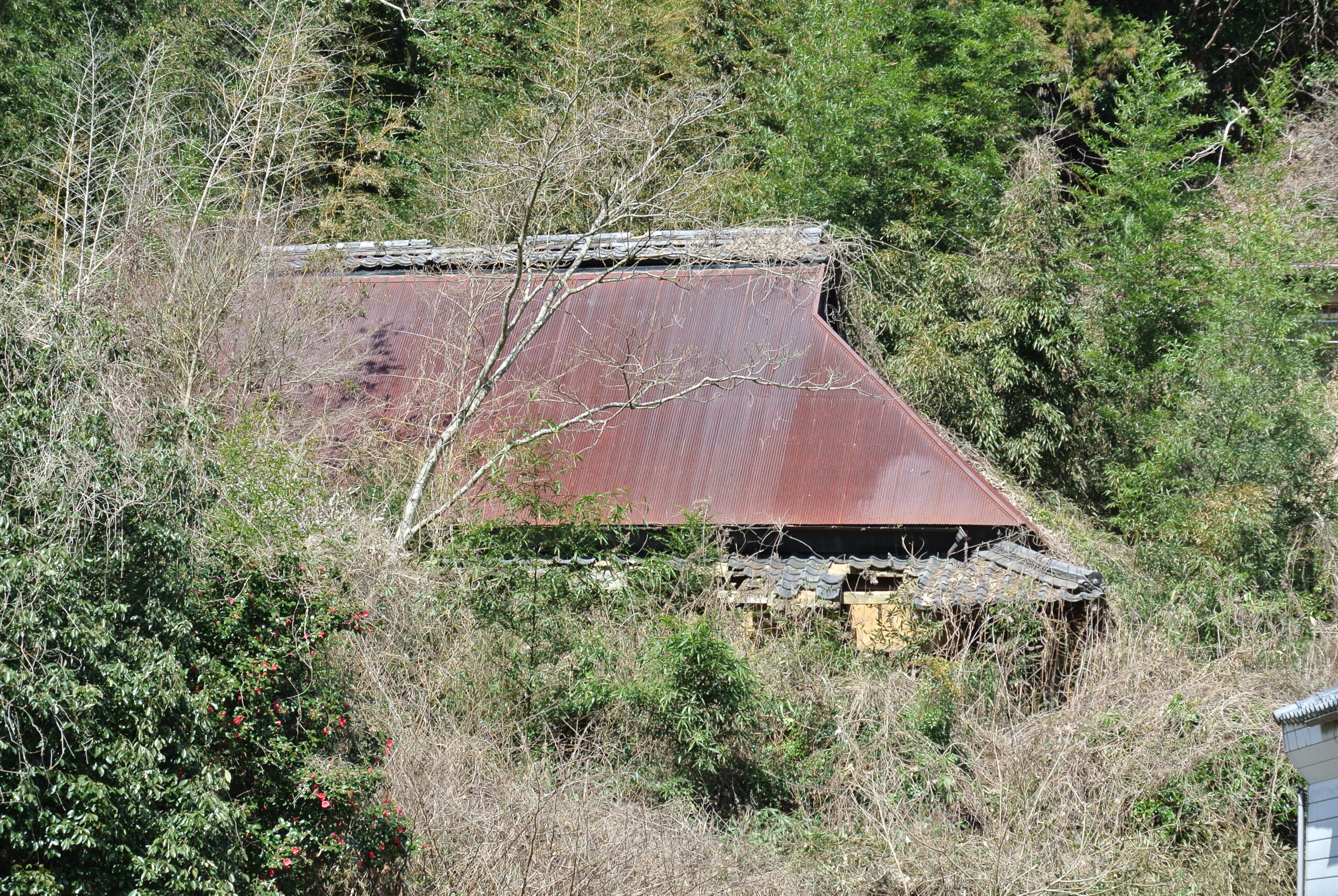 28.3.16 (3)