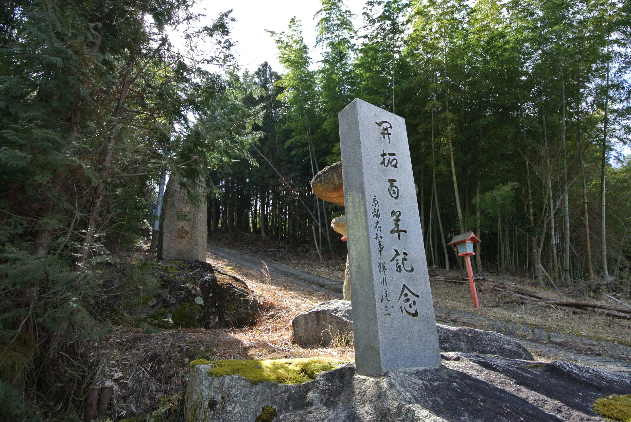 28.4.4 (7)