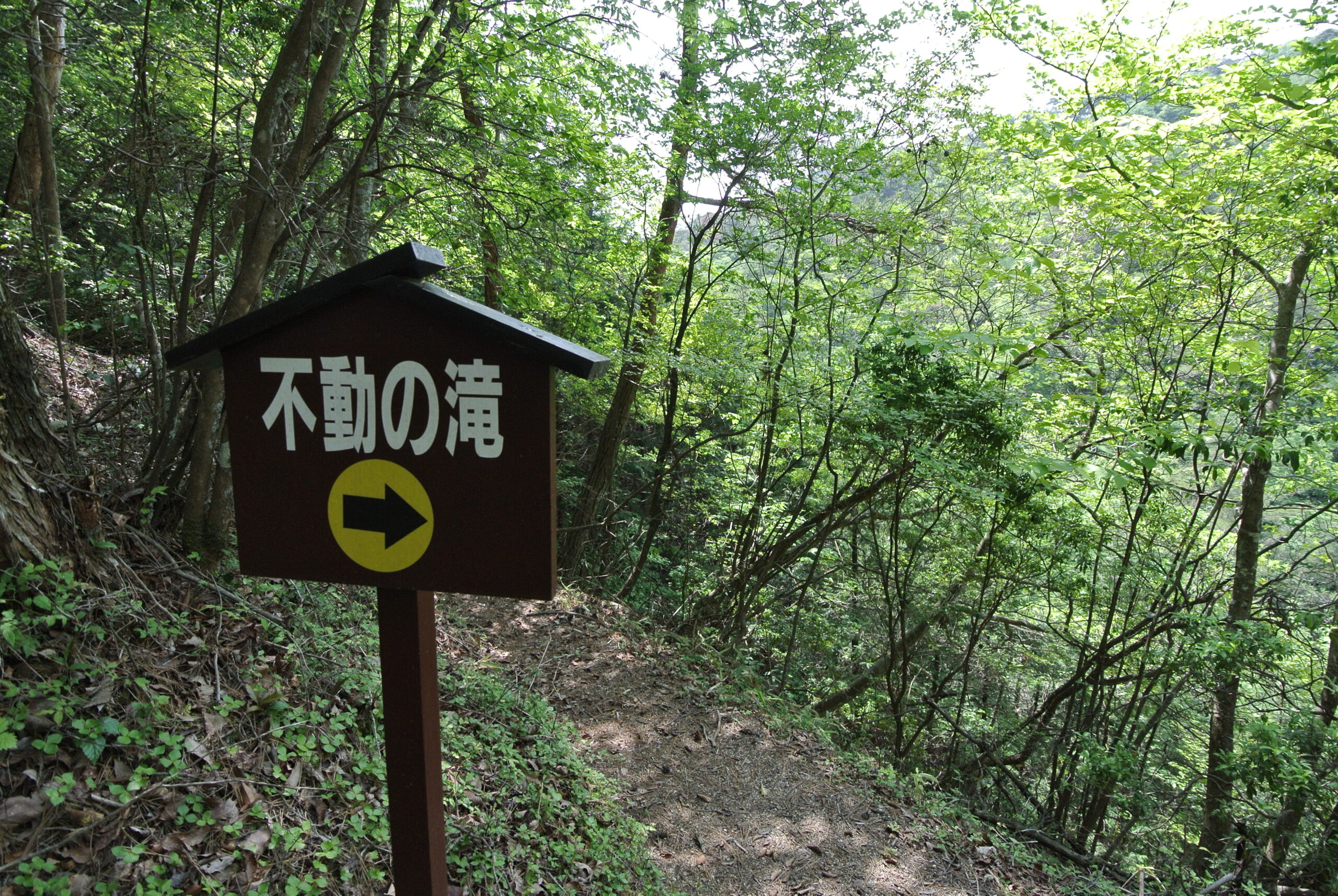 28.5.26 (5)