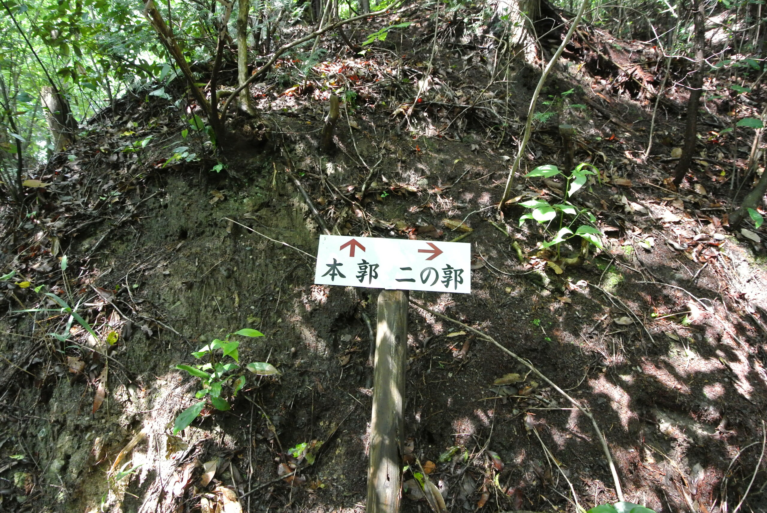 28.7.14 (6)